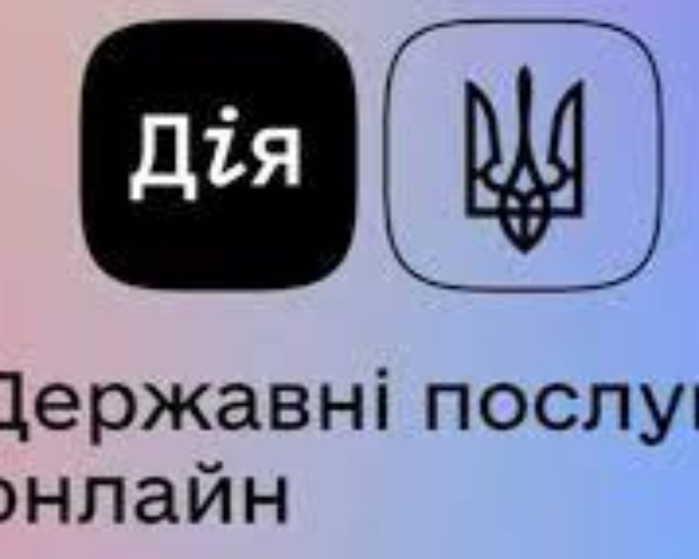Отримання витягу про несудимість в Дії
